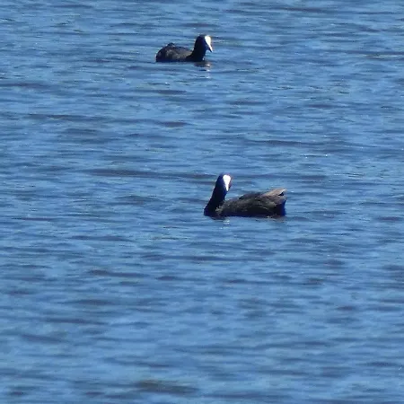 Dieci Tornesi Semesterbostad Montalbano Elicona