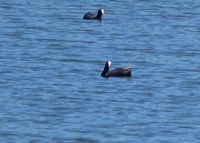 Dieci Tornesi Dom wakacyjny Montalbano Elicona